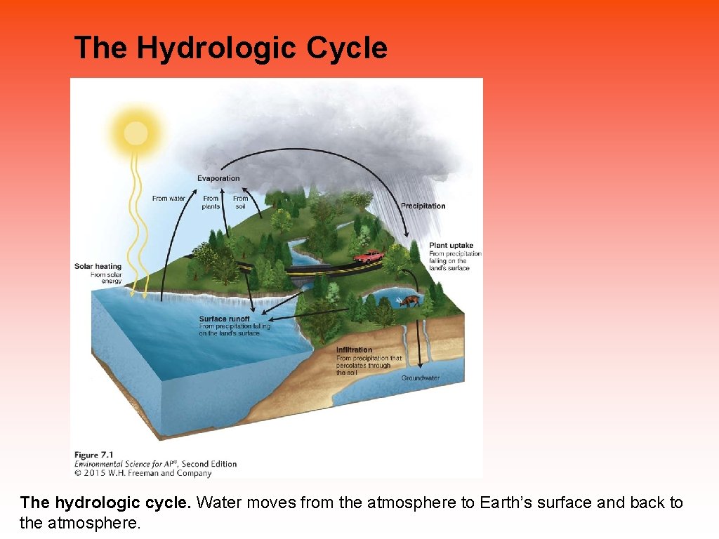 The Hydrologic Cycle The hydrologic cycle. Water moves from the atmosphere to Earth’s surface