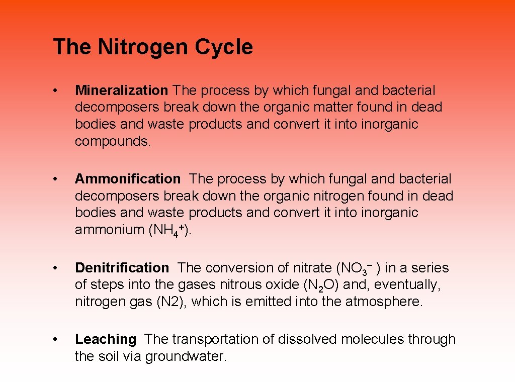 The Nitrogen Cycle • Mineralization The process by which fungal and bacterial decomposers break