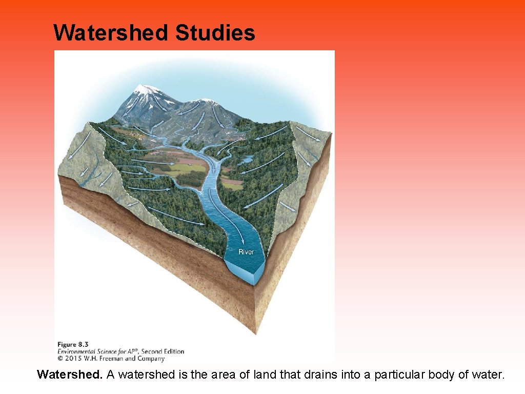 Watershed Studies Watershed. A watershed is the area of land that drains into a