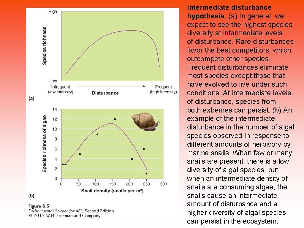 Intermediate disturbance hypothesis. (a) In general, we expect to see the highest species diversity