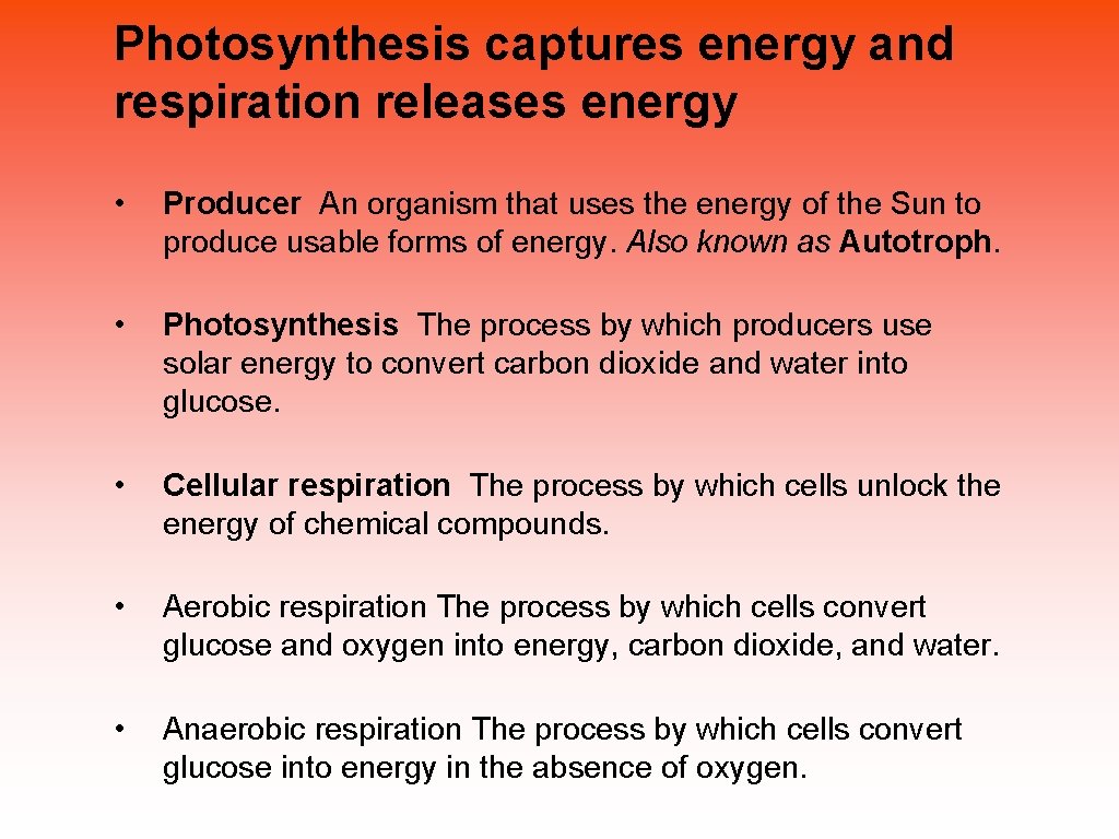 Photosynthesis captures energy and respiration releases energy • Producer An organism that uses the