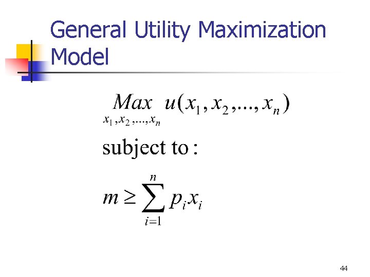 General Utility Maximization Model 44 
