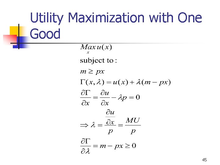 Utility Maximization with One Good 45 