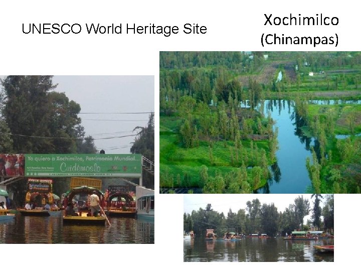 UNESCO World Heritage Site Xochimilco (Chinampas) 