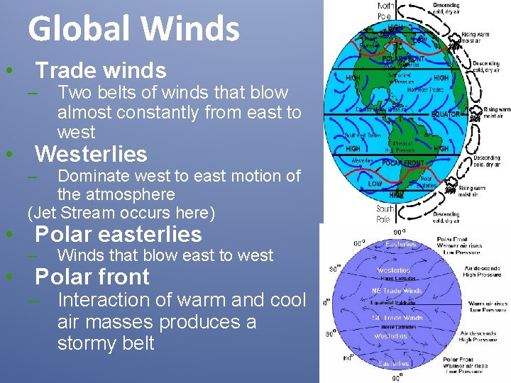 Global Winds • Trade winds – Two belts of winds that blow almost constantly