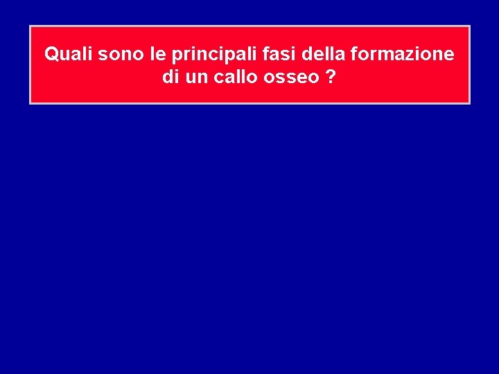 Quali sono le principali fasi della formazione di un callo osseo ? 