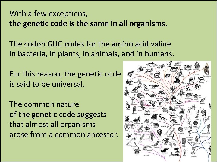 With a few exceptions, the genetic code is the same in all organisms. The
