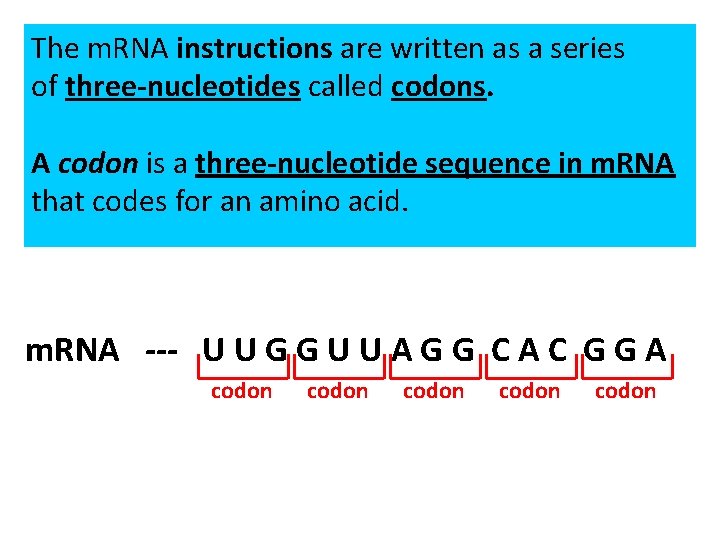 The m. RNA instructions are written as a series of three-nucleotides called codons. A