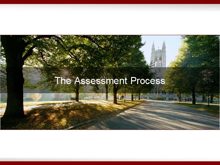The Assessment Process 
