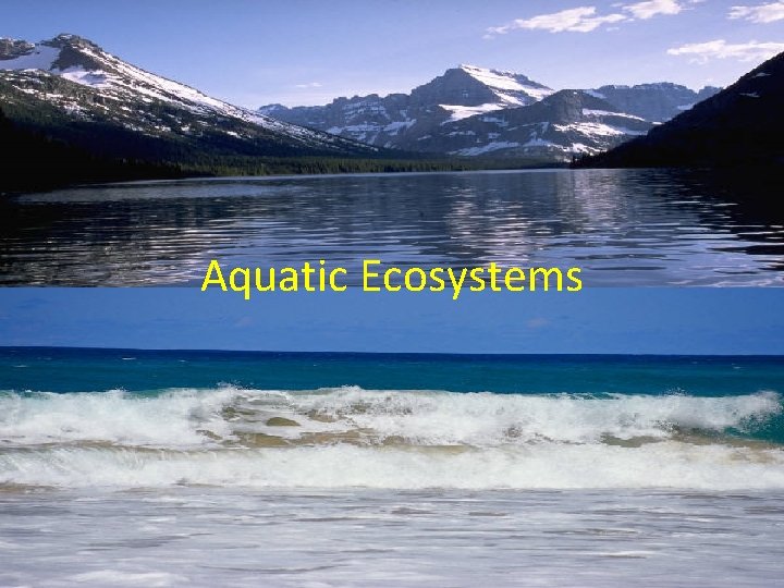 Aquatic Ecosystems 