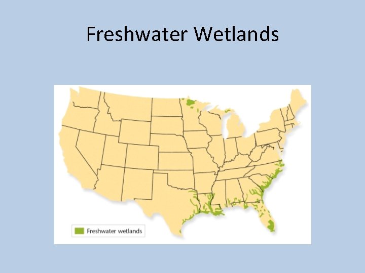 Freshwater Wetlands 