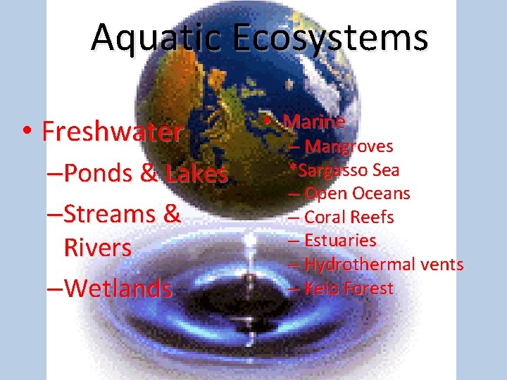 Aquatic Ecosystems • Freshwater –Ponds & Lakes –Streams & Rivers –Wetlands • Marine –