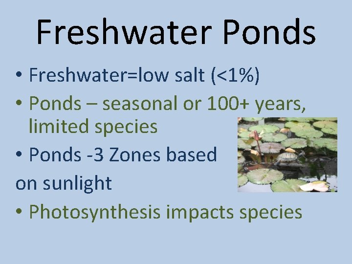 Freshwater Ponds • Freshwater=low salt (<1%) • Ponds – seasonal or 100+ years, limited