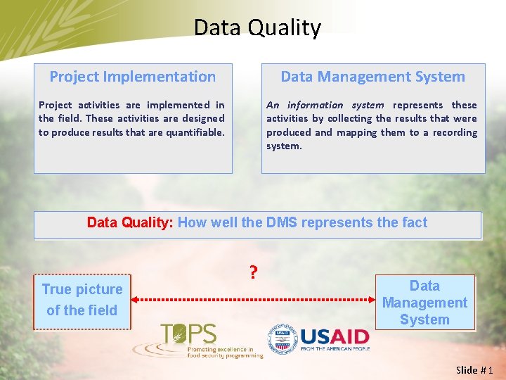 Data Quality Project Implementation Data Management System Project activities are implemented in the field.