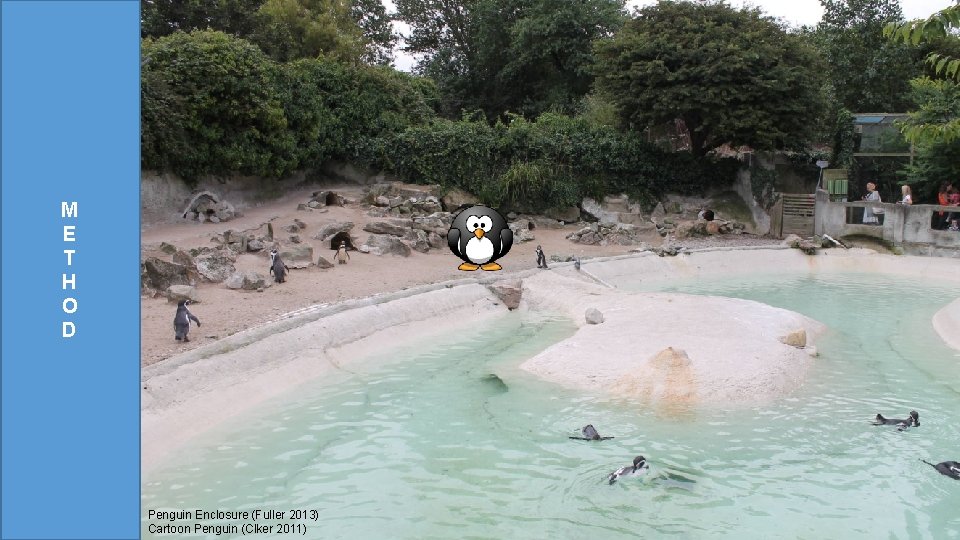 M E T H O D Penguin Enclosure (Fuller 2013) Cartoon Penguin (Clker 2011)