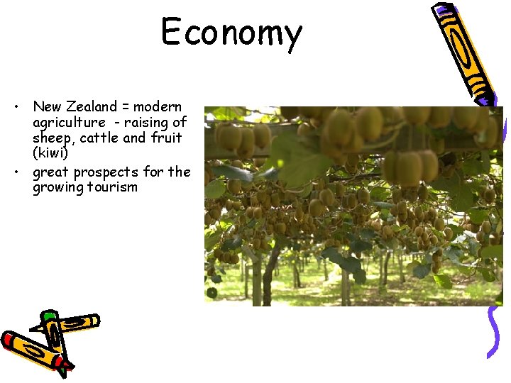 Economy • New Zealand = modern agriculture - raising of sheep, cattle and fruit