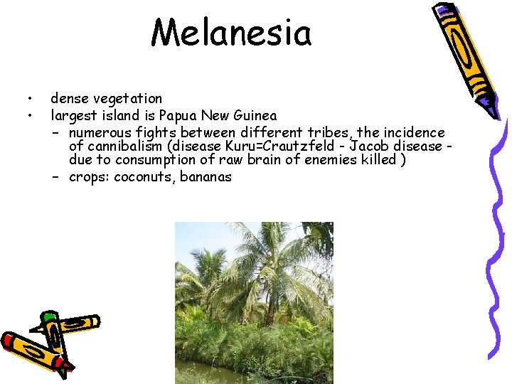 Melanesia • • dense vegetation largest island is Papua New Guinea – numerous fights