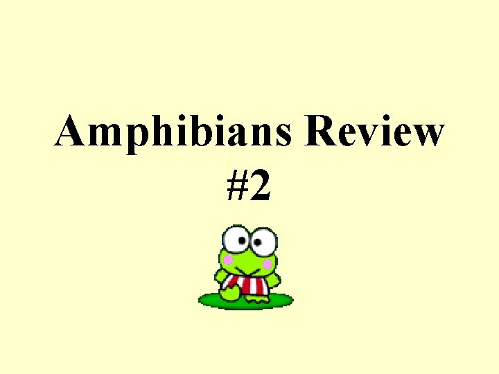 Amphibians Review #2 