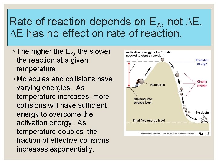 Rate of reaction depends on EA, not E. E has no effect on rate