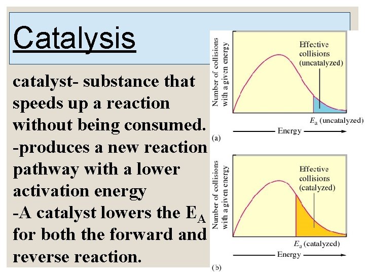 Catalysis catalyst- substance that speeds up a reaction without being consumed. -produces a new