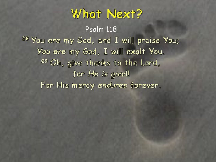What Next? Psalm 118 28 You are my God, and I will praise You;