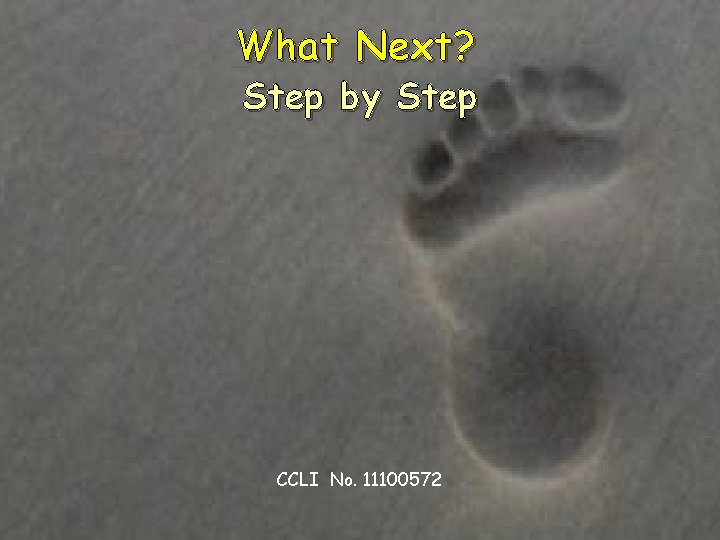 What Next? Step by Step CCLI No. 11100572 