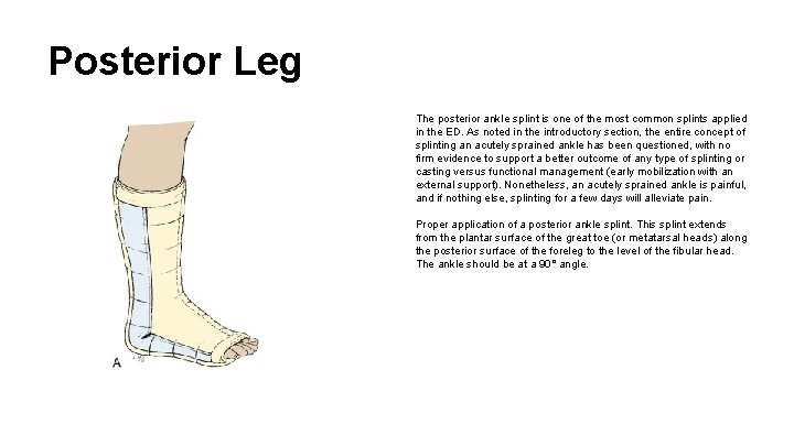 Posterior Leg The posterior ankle splint is one of the most common splints applied