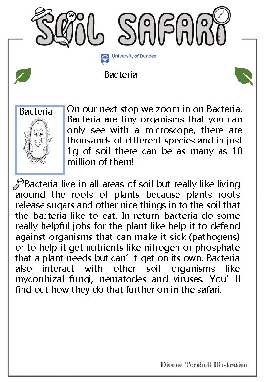 Bacteria On our next stop we zoom in on Bacteria are tiny organisms that