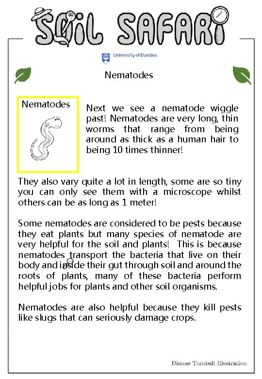 Nematodes Next we see a nematode wiggle past! Nematodes are very long, thin worms