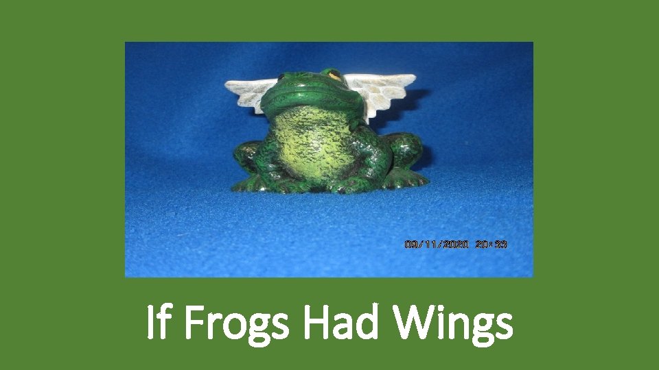 If Frogs Had Wings 