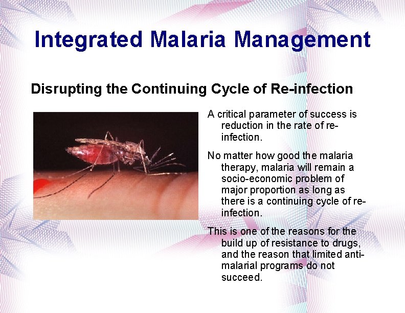 Integrated Malaria Management Disrupting the Continuing Cycle of Re-infection A critical parameter of success