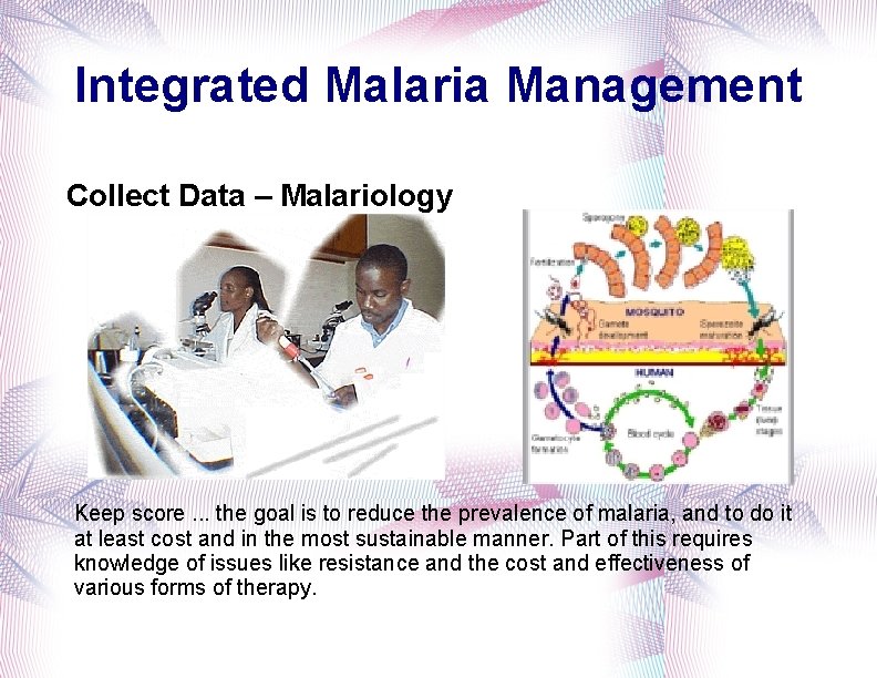 Integrated Malaria Management Collect Data – Malariology Keep score. . . the goal is