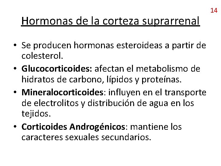 Hormonas de la corteza suprarrenal • Se producen hormonas esteroideas a partir de colesterol.