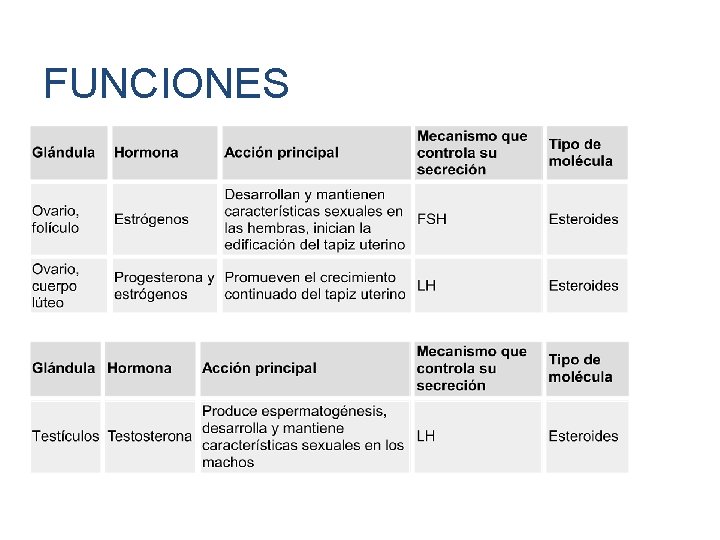 FUNCIONES 25 