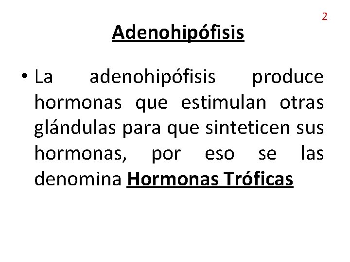 Adenohipófisis 2 • La adenohipófisis produce hormonas que estimulan otras glándulas para que sinteticen