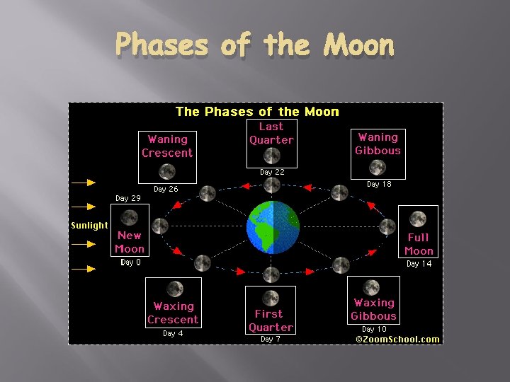 Phases of the Moon 