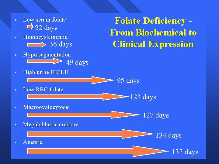 § Low serum folate 22 days § Homocysteinemia § Hypersegmentation 36 days Folate Deficiency
