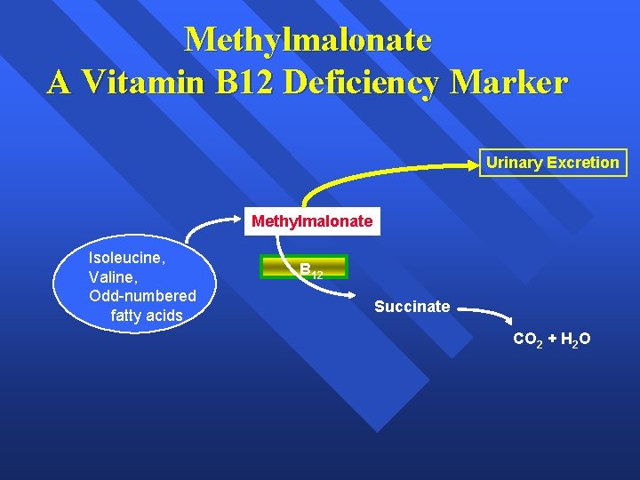 Methylmalonate A Vitamin B 12 Deficiency Marker Urinary Excretion Methylmalonate Isoleucine, Valine, Odd-numbered fatty