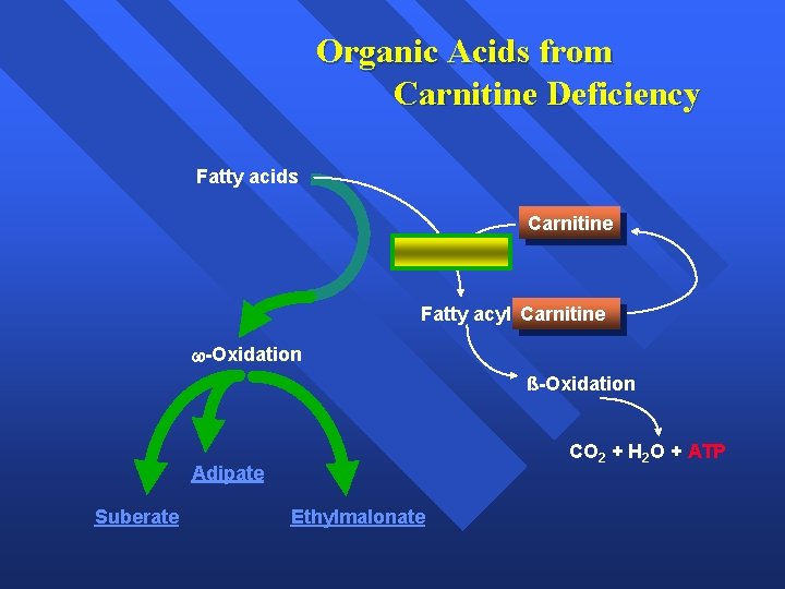 Organic Acids from Carnitine Deficiency Fatty acids Carnitine Fatty acyl Carnitine -Oxidation ß-Oxidation CO