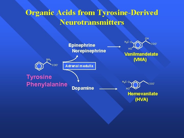 Organic Acids from Tyrosine-Derived Neurotransmitters OH Epinephrine Norepinephrine NH 2 COO- H 3 C-