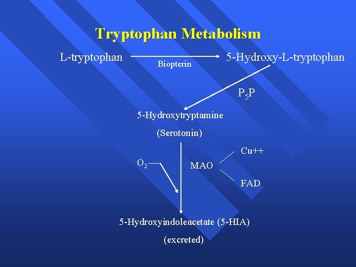 Tryptophan Metabolism L-tryptophan Biopterin 5 -Hydroxy-L-tryptophan P 5 P 5 -Hydroxytryptamine (Serotonin) Cu++ O