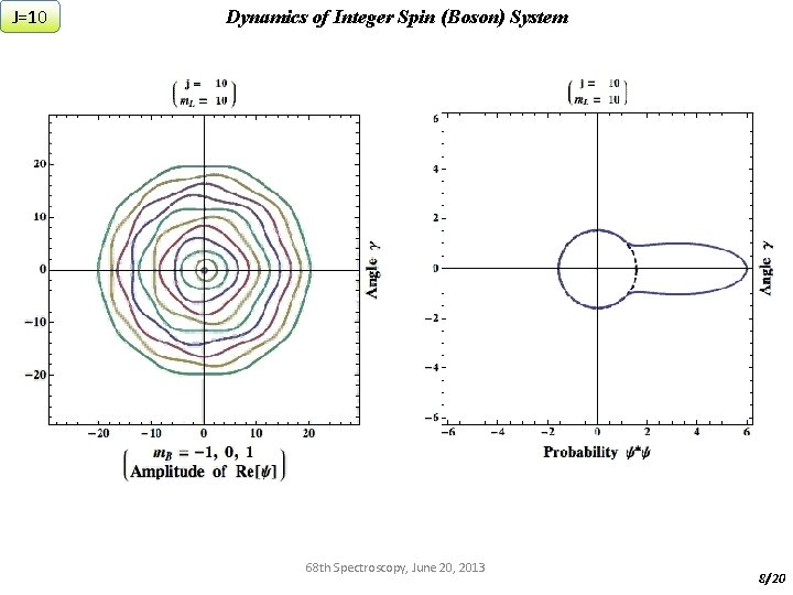 J=10 Dynamics of Integer Spin (Boson) System 68 th Spectroscopy, June 20, 2013 8/20