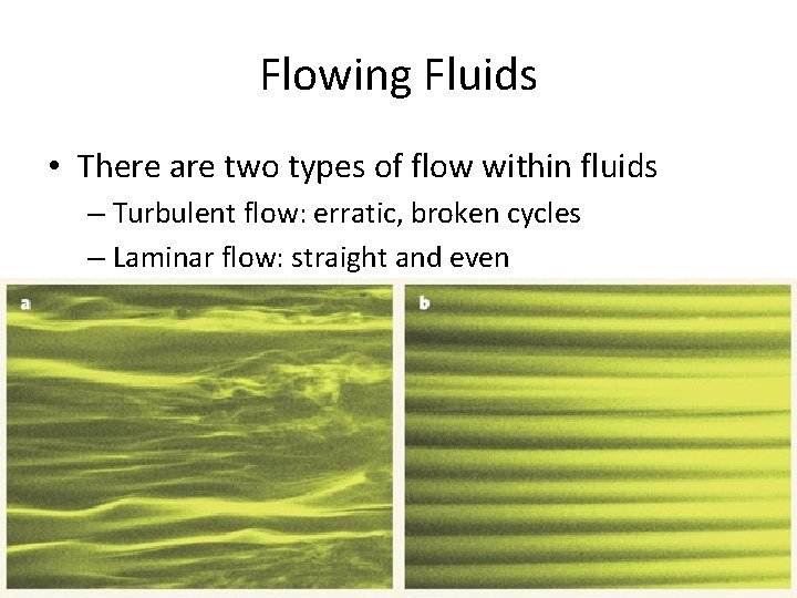 Flowing Fluids • There are two types of flow within fluids – Turbulent flow: