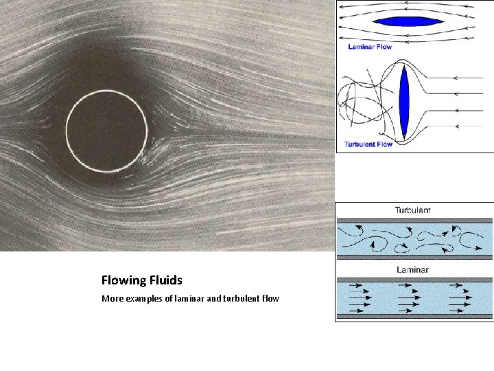 Flowing Fluids More examples of laminar and turbulent flow 