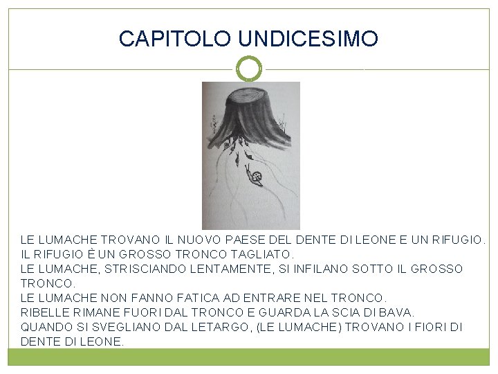 CAPITOLO UNDICESIMO LE LUMACHE TROVANO IL NUOVO PAESE DEL DENTE DI LEONE E UN