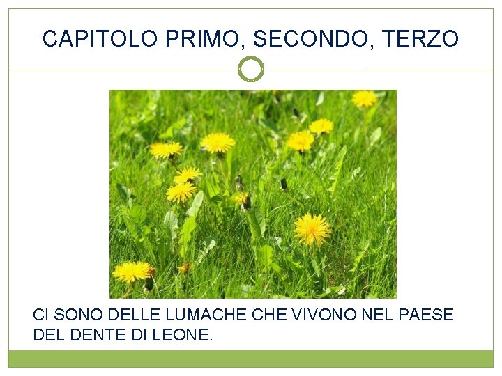 CAPITOLO PRIMO, SECONDO, TERZO CI SONO DELLE LUMACHE VIVONO NEL PAESE DEL DENTE DI