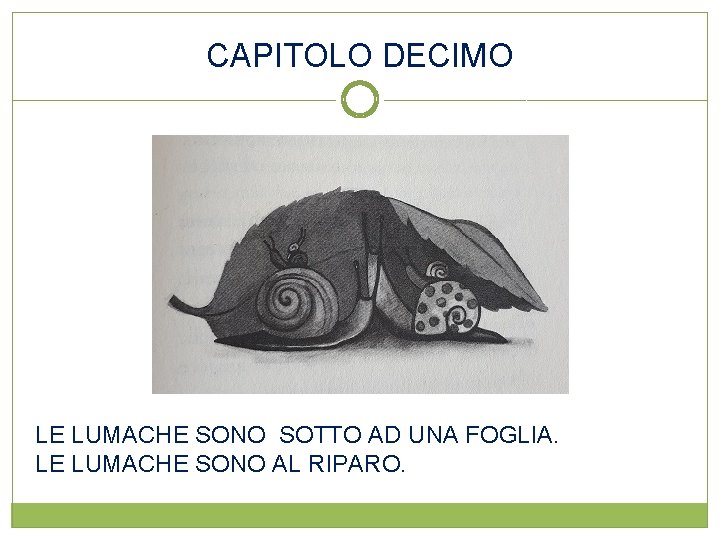 CAPITOLO DECIMO LE LUMACHE SONO SOTTO AD UNA FOGLIA. LE LUMACHE SONO AL RIPARO.