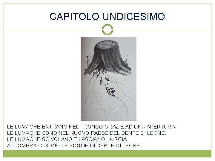 CAPITOLO UNDICESIMO LE LUMACHE ENTRANO NEL TRONCO GRAZIE AD UNA APERTURA. LE LUMACHE SONO