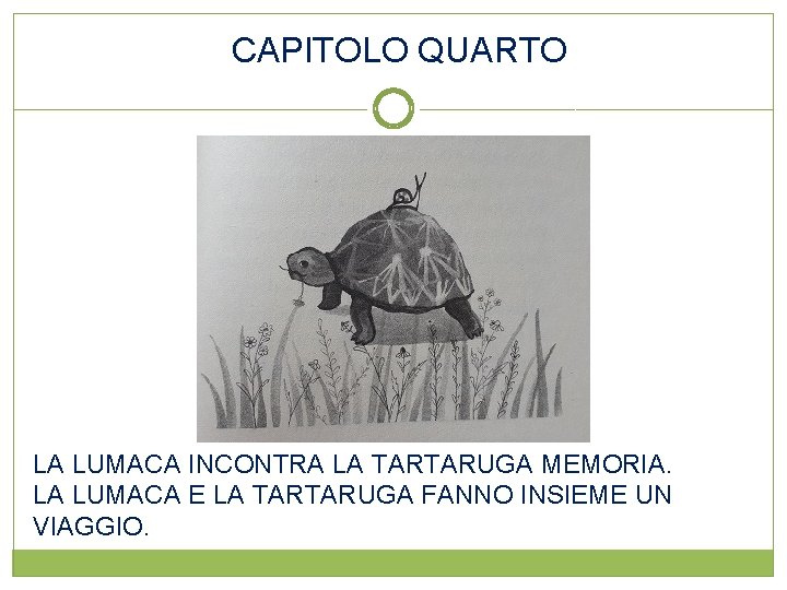 CAPITOLO QUARTO LA LUMACA INCONTRA LA TARTARUGA MEMORIA. LA LUMACA E LA TARTARUGA FANNO