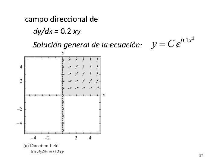campo direccional de dy/dx = 0. 2 xy Solución general de la ecuación: 57